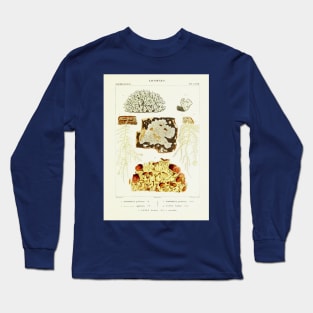 Lichen 2 - Essai sur les cryptogames - Botanical Illustration Long Sleeve T-Shirt